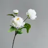 3 Cabezas de Flores Artificiales de Peonía de Alta Gama, Decoraciones para Sala de Estar, Ramos, Flores de Peonía Nuevas Estilo Chino, Flores Artificiales