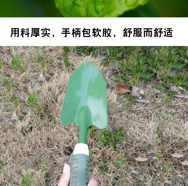 未标题-1_12.jpg