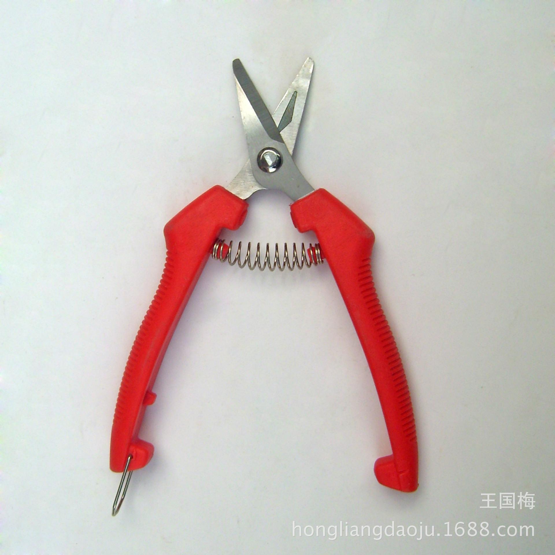 DSCI0048