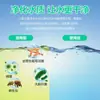 Tabletes Efervescentes de Dióxido de Cloro Desinfetantes para Tanques de Peixes de Aquicultura, Purificação de Água, Desodorização e Desinfecção Tabletes Atacado