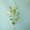 Oferta Especial Eucalipto de Galho Único Folha de Dinheiro Folha de Eucalipto Ornamento de Decoração para Casa Fotografia de Casamento Flor Falsa Flor Artificial