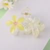 Presilha de Cabelo Acrílica Flor Plumeria para Mulheres, Acessório de Cabelo de Alta Qualidade, Presilha Jacaré, Presilha para Meio Preso de Verão Transfronteiriça