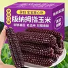 Milho Roxo Pegajoso de Polegar, Milho Roxo Dourado Pegajoso de Polegar, Milho Pequeno, Milho Pegajoso, Milho de Polegar de Xishuangbanna, Yunnan