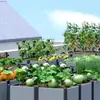 Floreira caixa de plástico para exterior vaso de flores retangular vaso para cultivo de vegetais em varanda caixa especial para cultivo de vegetais caixa para cultivo de vegetais de horticultura