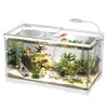 Tanque para Tortugas Paisajismo Casero Filtro Circulación Plataforma para Tomar el Sol Plataforma para Trepar Acrílico Ecológico Tanque Mixto para Peces Caja Pequeña de Rotación