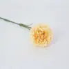 Suministro Directo de Fábrica de Claveles Simulados para Decoración del Hogar, Arreglos de Boda, Arreglos Florales para Jarrones de Sala de Estar Estilo Nórdico Se Pueden Personalizar