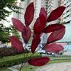 Oferta Especial Tema Rojo Grande Boda Flor Artificial Al Por Mayor Nuevo Estilo Chino Borgoña Flor de Guía de Camino Base de Fila de Flores Artificiales