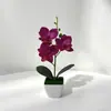 Planta Artificial de Phalaenopsis em Vaso Transfronteiriça com Flores Decoração de Mesa Flor Falsa de Plástico Bonsai Fotografia Enfeites Vaso de Flores Cabeça de Flor