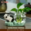 Decoração de Casa Estilo Chinês Panda Rabanete Verde Vaso Hidropônico Arranjo de Flores Vidraria Decoração de Mesa Vaso de Planta Presente