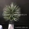 Árbol de sangre de dragón simulación hierro de sangre de dragón Madera milenaria simulación Árbol de orquídea de seda en maceta árbol de dragón Árbol de hierro de dragón planta de simulación tropical