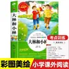 Livros Originais Genuínos Essenciais para Leitura Extracurricular de Dalin e Xiaolin Zhang Tianyi para Alunos do Ensino Fundamental Edição Juvenil