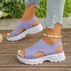 Zapatos de Mujer Estilo Manga Transfronterizos Europeos y Americanos de Tacón Bajo Boca de Pez Fuente Zapatos Casuales Moda Otoño 2025 Sandalias Venta al por Mayor Tallas Grandes