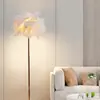 Lámpara de pie de plumas transfronteriza con un toque de alta gama para sala de estar y dormitorio, lámpara de noche estilo ins, lámpara de plumas decorativa para fondo de sofá y transmisión en vivo