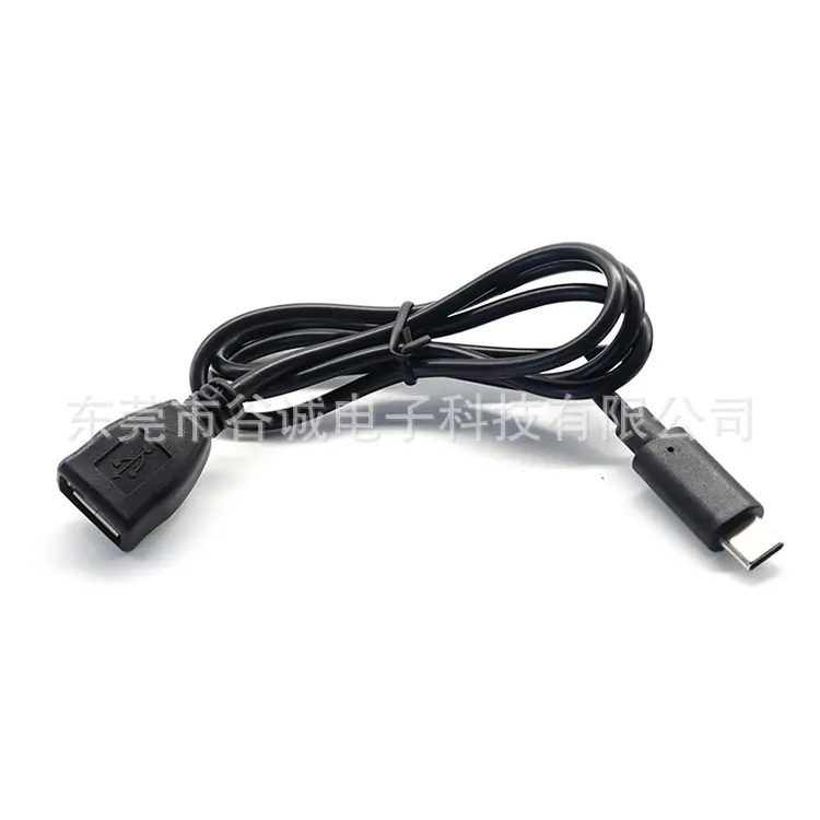 USB AF TO Type-C M背包线