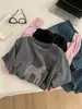 Camiseta Fashionável Retro Estilo Coreano com Estampa de Pônei, Falsa Peça Dupla, Manga Longa para Mulheres 26 Primavera e Outono Camiseta Básica de Algodão Nuvem