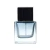 Botella de Perfume de Bayoneta Cuadrada Degradada 50ml Botella de Spray de Perfume Tipo Pulsador Botella Dispensadora de Cosméticos Esmerilada de Alta Gama