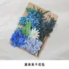 Bolsa de Souvenir Personalizada con Flores Secas Mixtas Marco de Fotos DIY Hecho a Mano Ventilador Bolsa de Materiales de Flores Inmortales Naturales Evento de Calentamiento