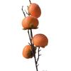 Fábrica de acessórios para frutas personalizadas Atacado Decoração para casa Enfeites de frutas falsas Caqui Caqui Wishful Caqui artificial