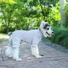 Nuevo suéter para mascotas suministro directo de fábrica estilo otoño e invierno ropa para gatos y perros suéter de punto de lana para perro y gato comercio exterior transfronterizo