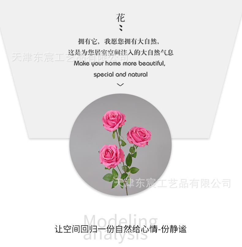 详情_06.png