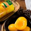 Mix de Frutas Frescas em Calda de Açúcar: Pêssego Amarelo, Coco, Pera, Abacaxi Variado, Laranja, Damasco, Amora-da-Califórnia, Salada de Frutas Frescas