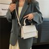 Traje de dos piezas elegante e informal con textura de color sólido y patrón de piedra 2023, moderno y sencillo, bandolera de hombro, bolso cuadrado pequeño portátil
