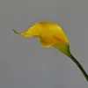 Atacado Transfronteiriço Decoração Floral para Casa Lírios Calla de Toque Real de Tamanho Médio para Arranjos de Flores de Sala de Estar e Mesa de Jantar Flores Artificiais
