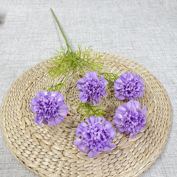 11# 5头燕山松虫草-sxcysx-藕荷紫 4元.JPG