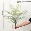 Simulación Mono Dorado de Nariz Chata Helecho Cabeza de Mono Helecho Planta Verde en Ramillete Paisaje en Miniatura Paisajismo Plantas de Helecho Grandes para Piso Decoración del Hogar