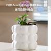Maceta de cerámica con bandeja para el hogar, exquisita maceta blanca de estilo Ins, ligera, de lujo, sencilla, de estilo crema, con flores carnosas de Phalaenopsis.