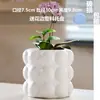 Maceta de Cerámica con Plato para Uso en el Hogar, Exquisita Estilo Ins Blanco Lujo Ligero Minimalista Estilo Crema Maceta para Orquídeas Suculentas
