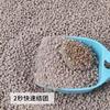 Arena para Gatos de Limón Envío Gratis 10kg Desodorizante Aglomerante Arena para Gatos Bentonita Bajo Polvo Arena para Gatos 20kg 10kg Suministros para Gatos