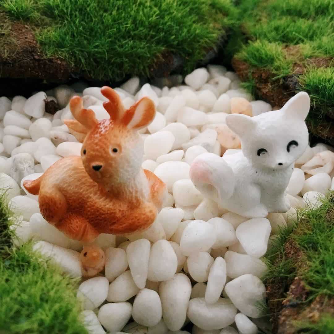 微信图片_20200528103037