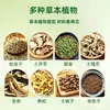 Ungüento Herbal para la Piel Rey de los Hongos de Gongkang Hong Kong para Uso Externo, Crema Calmante para Cuidado de la Piel de Todo el Cuerpo, Esencial para el Hogar