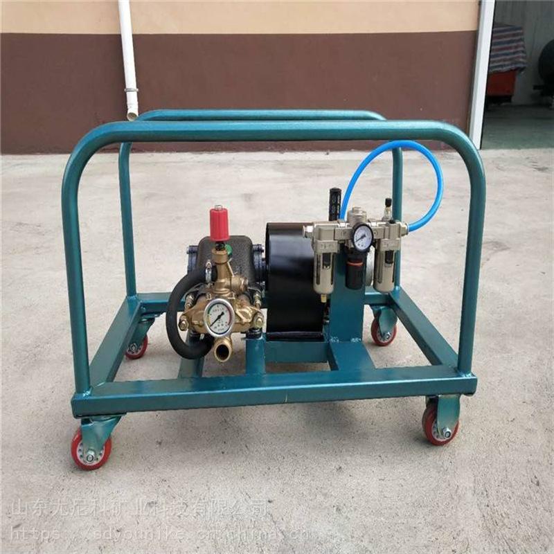 阻化剂喷射泵 (1)