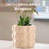 Maceta de Cerámica con Plato para Uso en el Hogar, Exquisita Estilo Ins Blanco Lujo Ligero Minimalista Estilo Crema Maceta para Orquídeas Suculentas