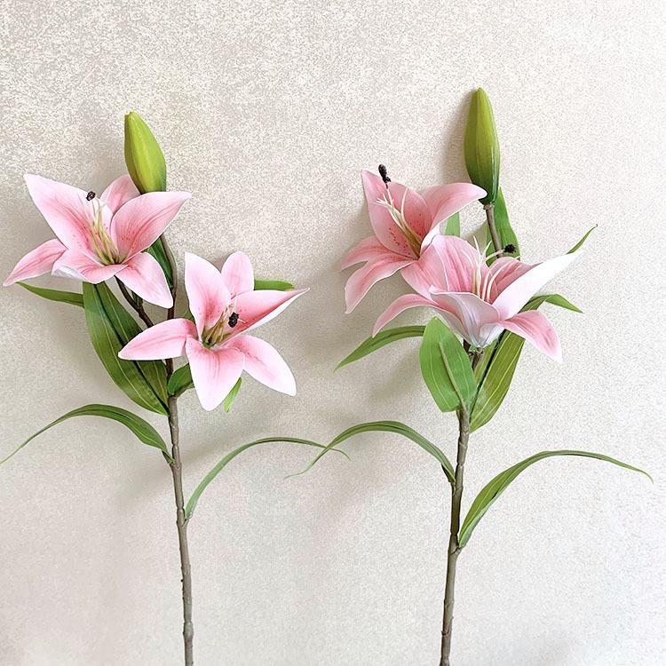 QQ图片20220819141217