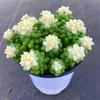 Planta Suculenta Cremosa con Adorno de Jade, Flor de Múltiples Cabezas para Interiores, Planta Verde en Maceta, Fácil de Cuidar para Principiantes, Resistente a la Radiación