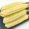 88 Tipos de Ingredientes para Churrasco Self-Service Familiar Espetinhos Atacado Semiprontos Espetinhos Fritos Pacote de Materiais para Espetinhos ao Ar Livre Espetinhos de Carneiro
