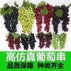Uvas Simuladas Fruta Escarchada Accesorios Planta Verde Falsa Decoración Modelo de Disparo de Plástico Techo Interior Ratán Uva