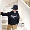[Beneficio de Código Rompedor] Sudadera con Capucha para Niño Espesada 2022 Nueva Ropa para Niños Chaqueta de Terciopelo de Color Puro Estilo K para Niños