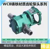 Bomba de Engranajes Eléctrica de Alta Temperatura WCB-30/50/75/100 Bomba de Aceite Autocebante Bomba de Aceite Portátil Cabezal de Bomba de Succión de Aceite