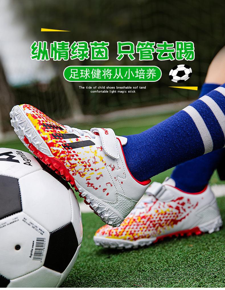 版面 (11).jpg