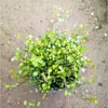 Peonía, Clorofito, Rábano Verde, Hiedra, Planta de Flor en Maceta con Borde Dorado en Forma de Corazón, Clorofito, Plantas de Flor de Maceta para Balcón Interior, Envío Gratis