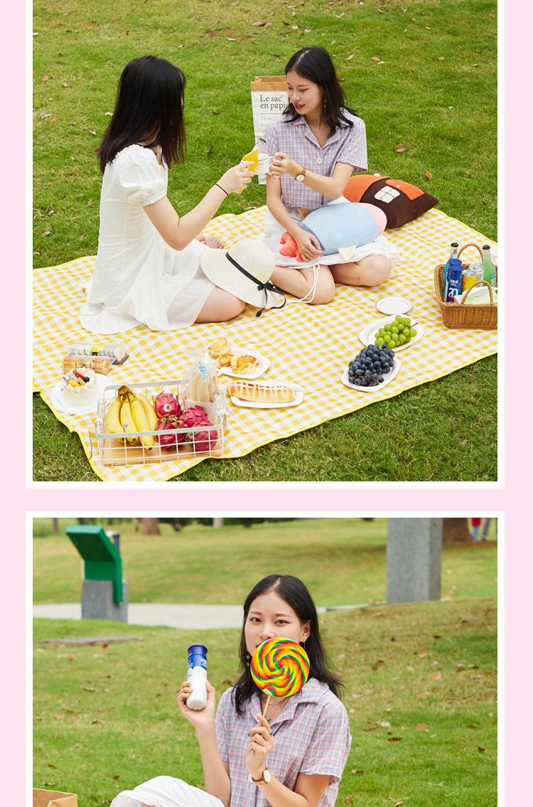 野餐垫-12