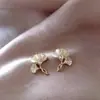 Aretes de Piedra Ojo de Gato Diseño de Nicho 2025 Nuevo Estilo Popular Lujo Ligero Temperamento de Gama Alta Aretes de Atmósfera para Mujer