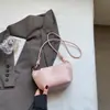 Bolsa Pequena em Formato de Nuvem para Mulheres, Nova Tendência da Primavera de 2026, Bolsa de Ombro Transversal Plissada Estilosa, Bolsa de Celular da Moda de Nicho