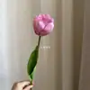 Flor Artificial de Tulipán de Cabeza Única Boda Hogar Accesorios de Fotografía Decoración Ramo de Novia Transfronterizo