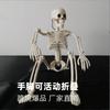 165CM Nueva Calavera Articulada Ajustable Adornos de Terror de Halloween Esqueleto de Cuerpo de Calabaza 40 90cm Esqueleto