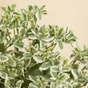 Hojas con Borde Blanco Simuladas, Centella Asiática Alpina, Decoración de Mesa de Sala de Estar, Adornos de Plantas Verdes, Ramos y Materiales, Hojas con Borde Blanco Simuladas